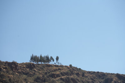 20150805-105755.jpg