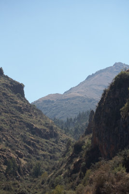 20150805-105801.jpg