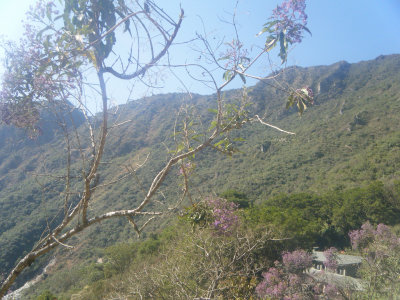 20150806-091559.jpg