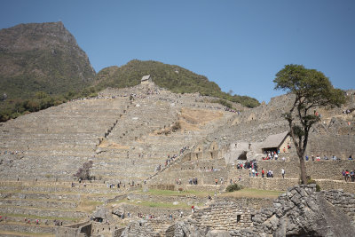 20150806-111024.jpg