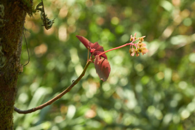 20150806-120915.jpg