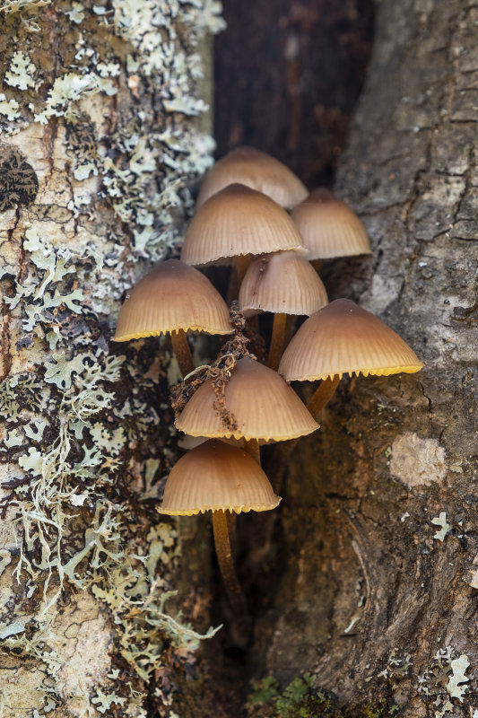 DSCF5272.jpg