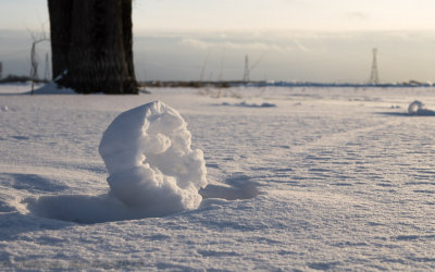 Roues de neige sculpts par des vents forts_Wheels of snow sculpted by strong winds