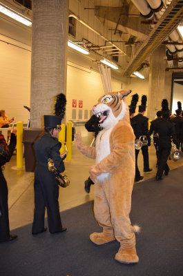 AF-DSC_0183.JPG