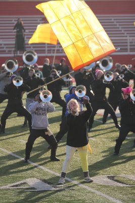 DN-IMG_9239.JPG