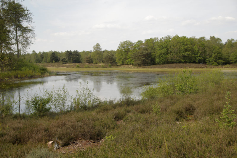 Habitat Plasrombout