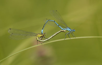 g10/70/1061370/3/165553897.DOUtJXLa.jpg
