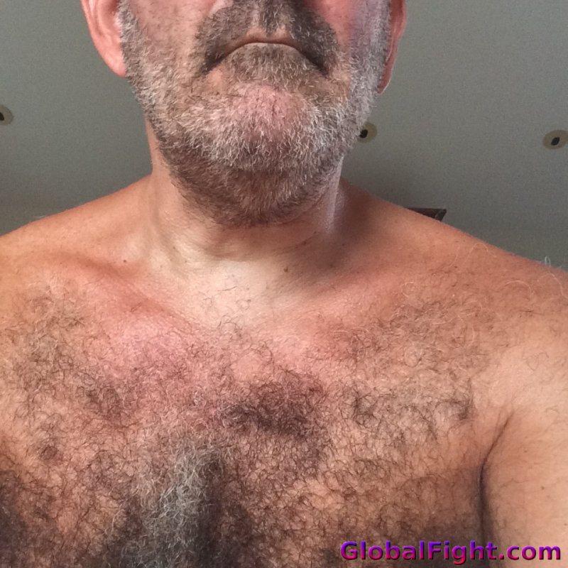 gray hairychest men.jpg