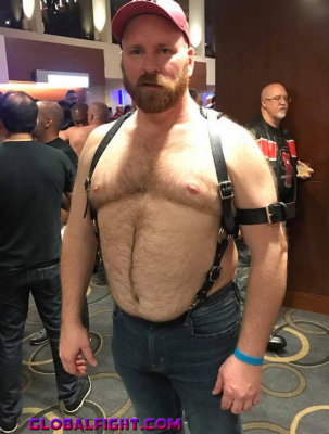 leather bear gay daddy.jpg