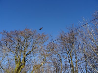 DSC04732