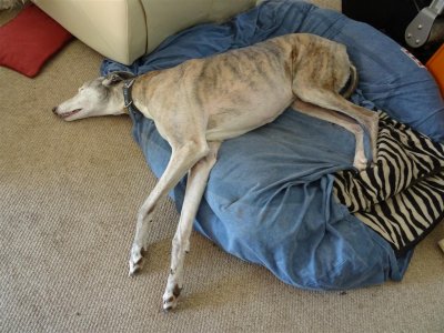 Re-laxed