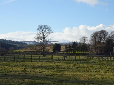 Chilly sunny walk