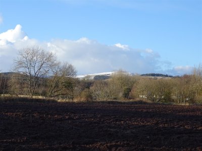 DSC05871