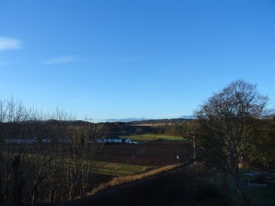 DSC05875 