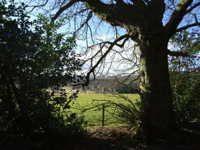 DSC05881 