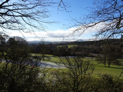 DSC05900 