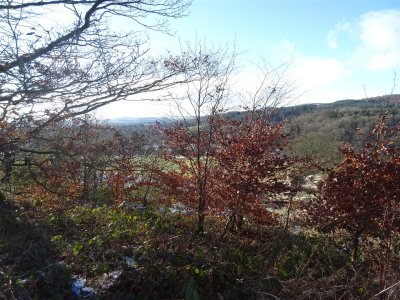 DSC05904 