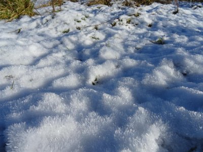 DSC05906 