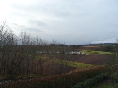 DSC05941