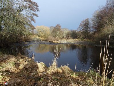 DSC05949 