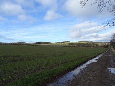 Muddy track walk