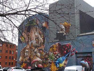 DSC06246