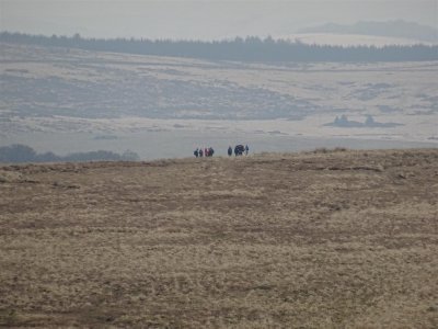 More ramblers in the distance