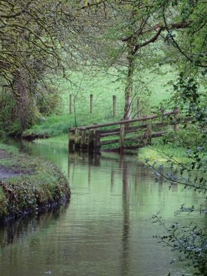 DSC06675 (Large).JPG