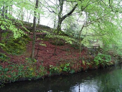 DSC06691 (Large).JPG
