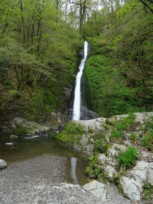 DSC06905 (Large).JPG