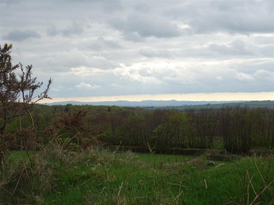 DSC06925 (Large).JPG