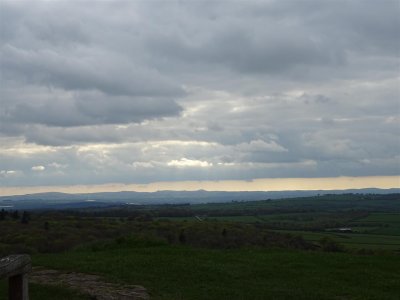 DSC06936 (Large).JPG