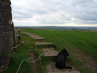 DSC06937 (Large).JPG