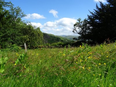  View from Matterdale Church