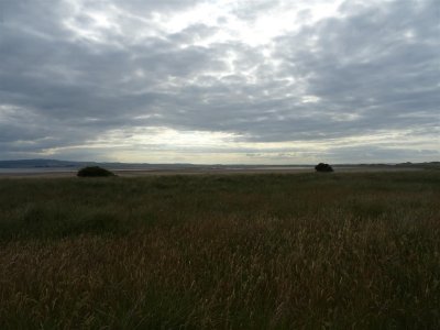 Holy Island and Lindisfarne - 6 July