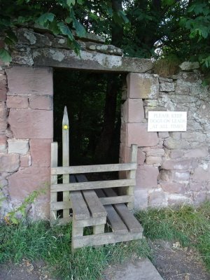 DSC09048 (Large).JPG