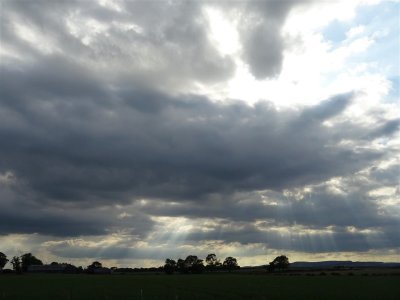DSC09063_Large.JPG