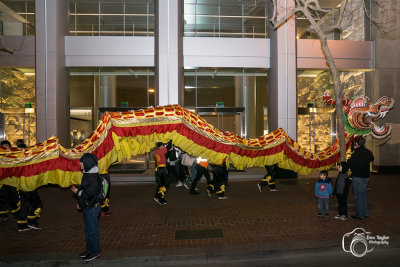 28-foot-long Golden Dragon.