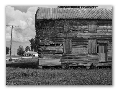Nitta Yuma, MS