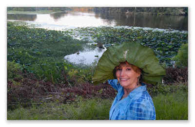 A Mississippi Fascinator Waterlily Hat 