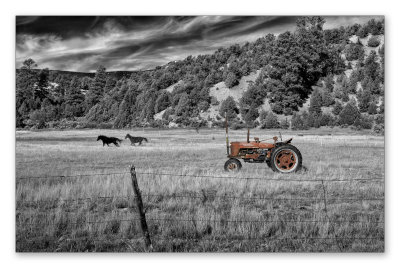 Red Tractor with Two Horsepower