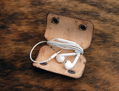 Ear Bud Case