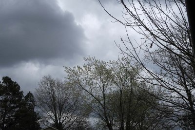 IMG_2442.jpg