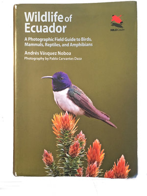 Wildlife-of-Ecuador.jpg