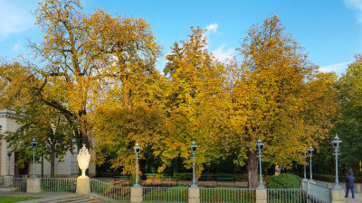 Trees are turning colors in front of the Palace on the water