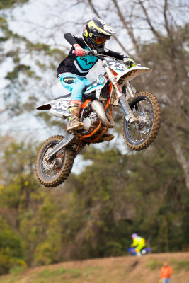 IMG_3687_PBase.jpg