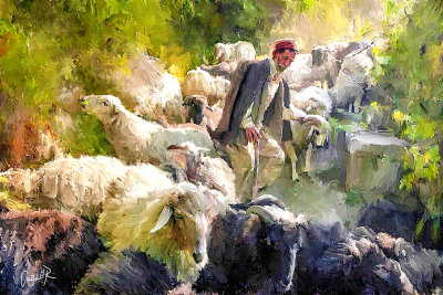 While Shepherds Watched Their Flocks