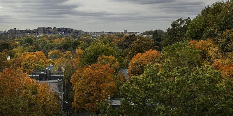 Autumn in Brookline MA