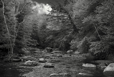 Stream through the woods - New Hampshire