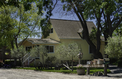 Larsen Family Vineyards - Carneros